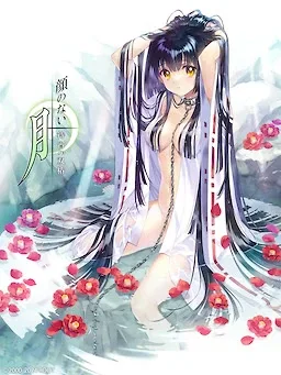无颜之月-待宵双椿 无颜之月-待宵双椿 DL版下载 官方日文版 封面图